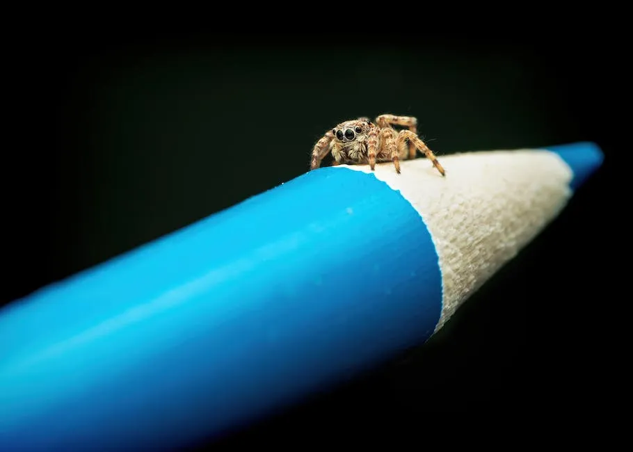 Ile kosztuje wykończenie mieszkania bez mebli